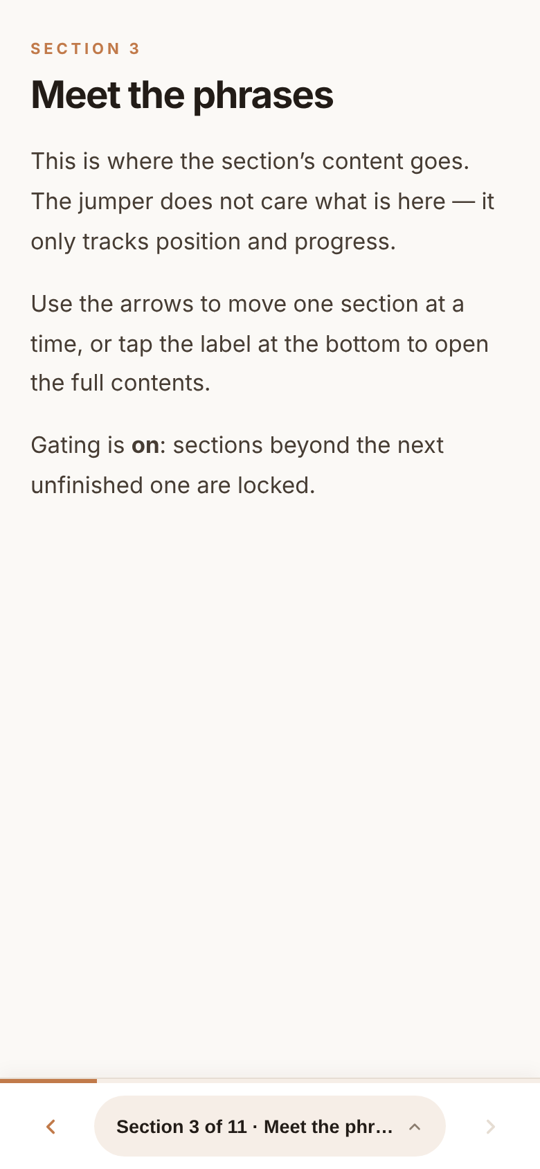 Section Jumper: a bottom bar reading Section 3 of 11 with back and next arrows